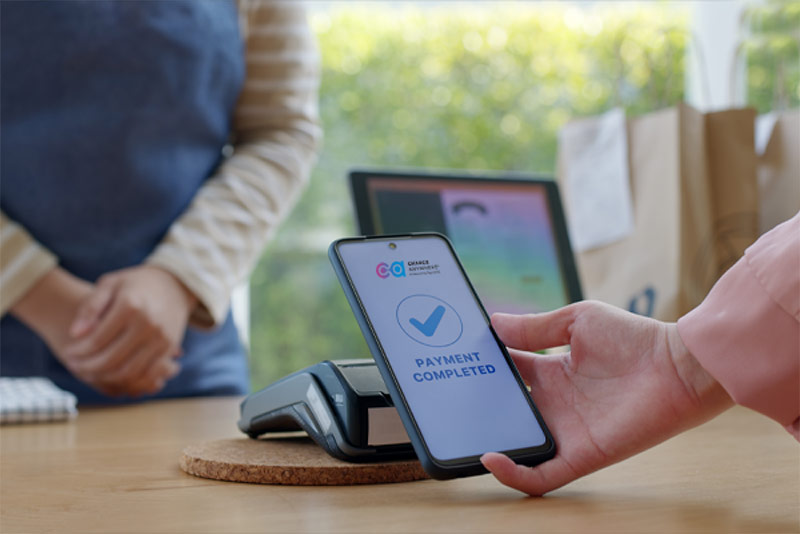 Developer and Partner Integrations